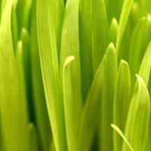 怎么打别人的服务器