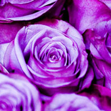 怎么打别人的服务器