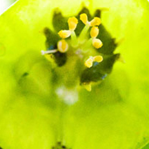 攻击网站的方法